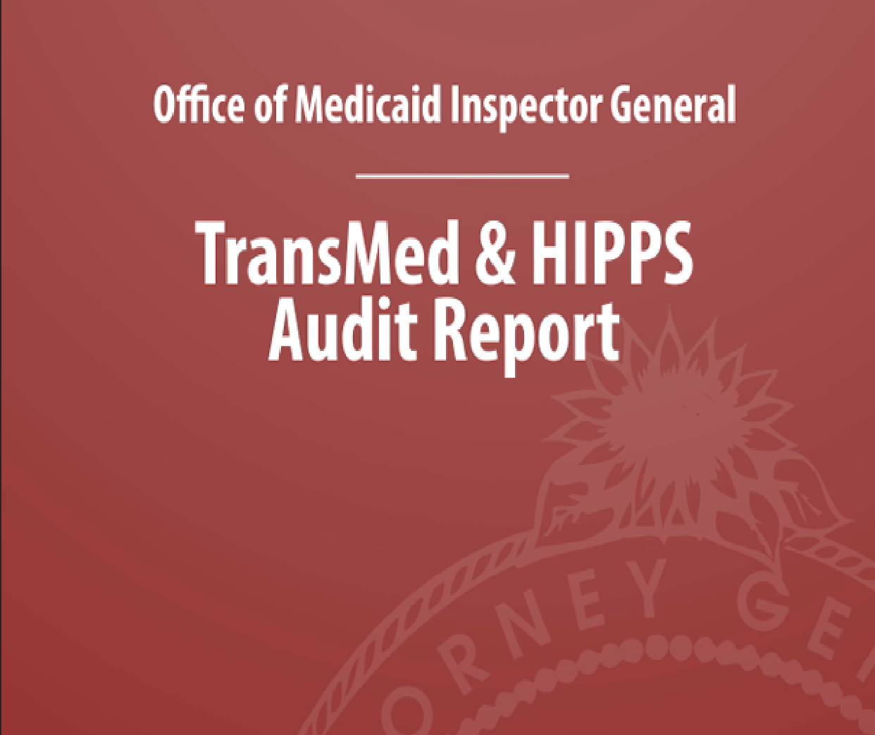 Screenshot of the OIG Transitional Medical Audit Report cover page